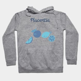 City Of Placentia Hoodie